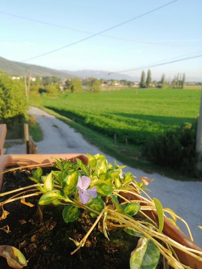 Apartamento Canapai Assisi